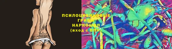тгк Алексин